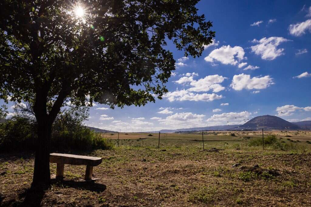 ברוך גרינברג