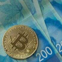 כסף | נועם רבקין-פנטון - פלאש 90