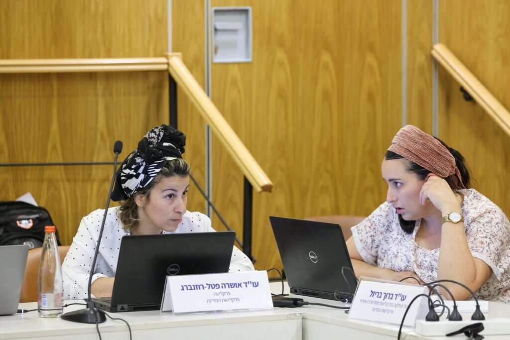 הדיון בוועדה. | נועם מושקוביץ /דוברות הכנסת