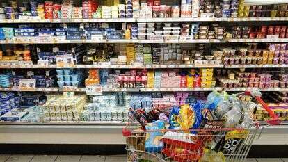 אילוסטרציה | מיכאל גלעדי, פלאש 90