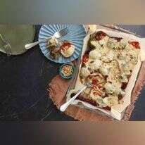 סינייה קציצות. | אפרת ליכטנשטט