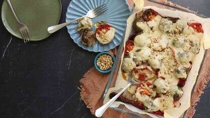 סינייה קציצות. | אפרת ליכטנשטט