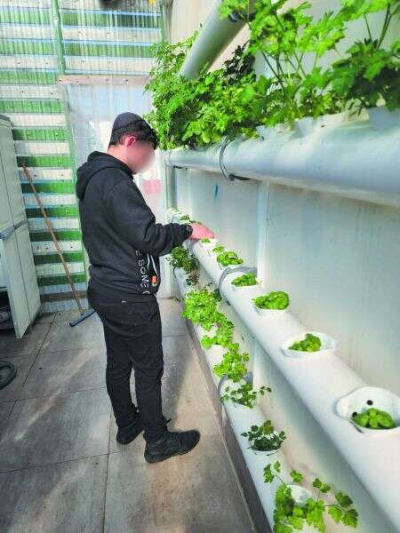 חקלאות הידרופונית, יזמות ומגמת רדיו. תלמיד ב"אוהליך". | באדיבות מרכז תורני אוהלך חקלאות הידרופונית, יזמות ומגמת רדיו. תלמיד ב"אוהליך". | באדיבות מרכז תורני אוהלך