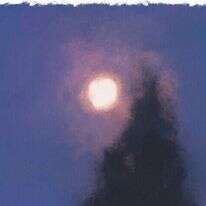 איור: מנחם הלברשטט