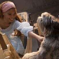 באדיבות פורום פילם