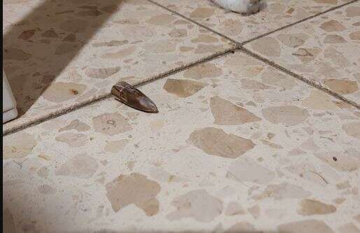 קליע חדר לביתה של העיתונאית עפרה לקס. באדיבות המצלמת