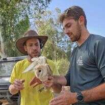 הפקחים והתנשמת. | עמית פרנקו, רשות הטבע והגנים