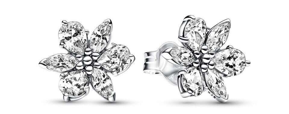 פנדורה PANDORA עגילי כסף. | יח"צ חו"ל