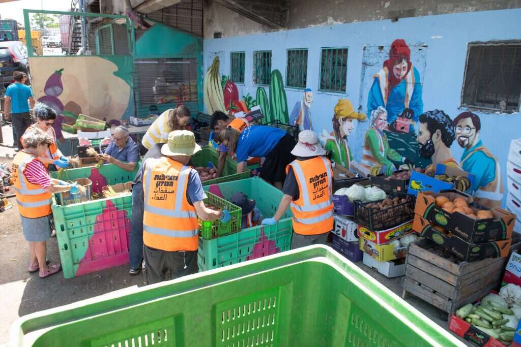 קבוצה אקלקטית וצבעונית. מתנדבים ממיינים ירקות ופירות. | שריה דיאמנט