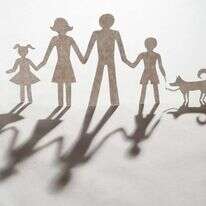 איור: שאטרסטוק