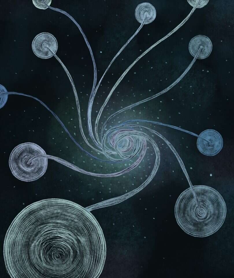 איור: שרון ארדיטי