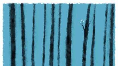 איור: מנחם הלברשטט