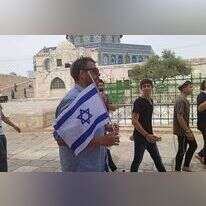 ברוש והדגל. | אברהם יצחק גרוסמן