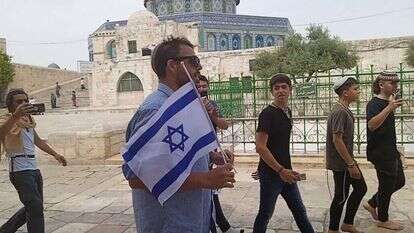 ברוש והדגל. | אברהם יצחק גרוסמן