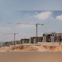 בנייה בעלי. | שריה דיאמנט