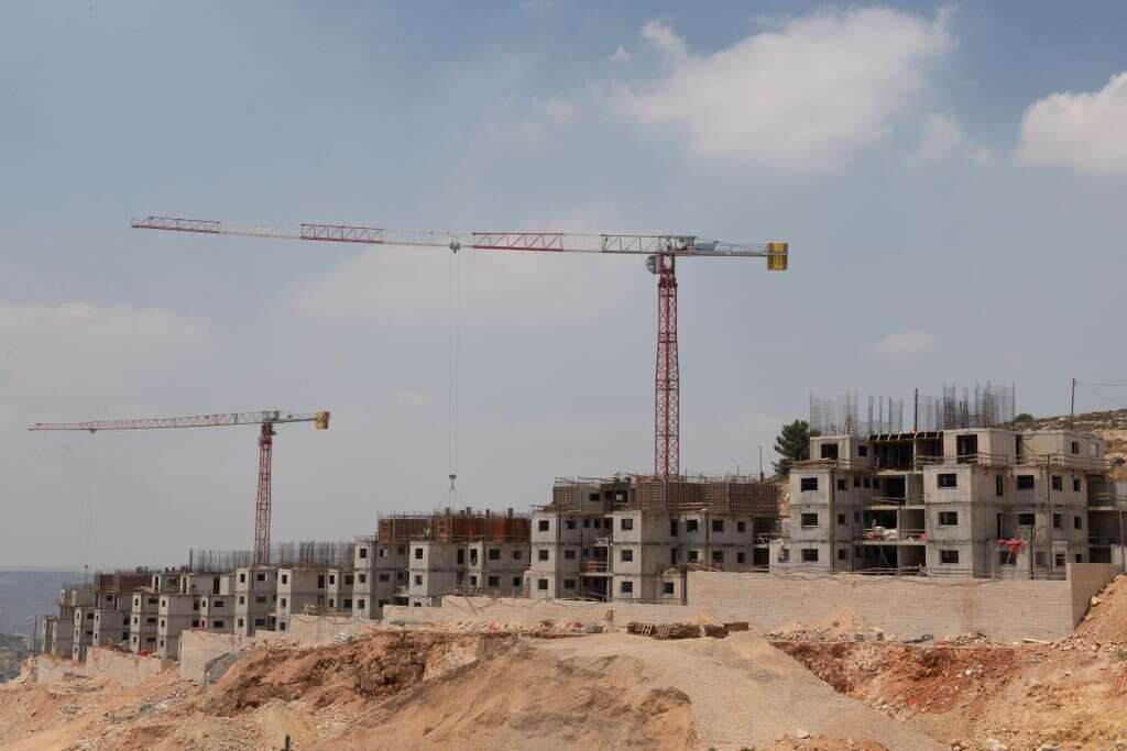 בנייה בעלי. | שריה דיאמנט