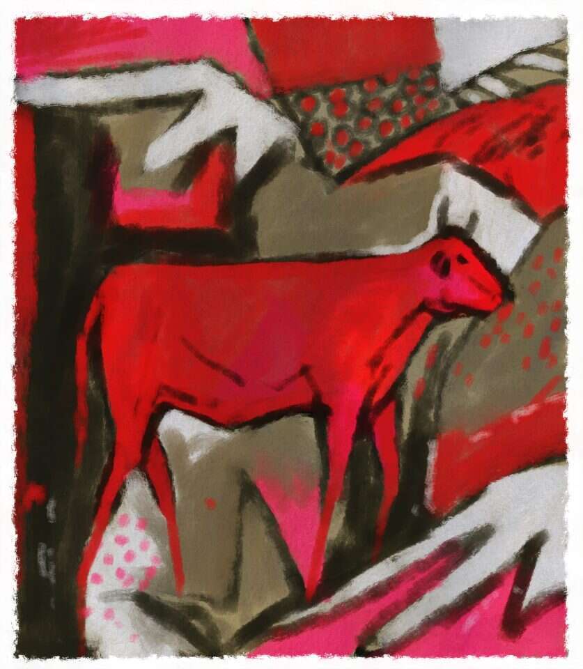 איור: מנחם הלברשטט