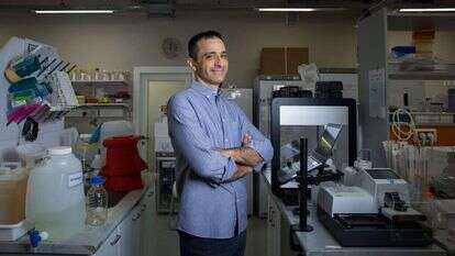 כדי לחסל את הסרטן צריך לזהות את בנק המטרות, ולפתח חימוש מדויק. פרופ' ינאי עופרן. | לירון מולדובן