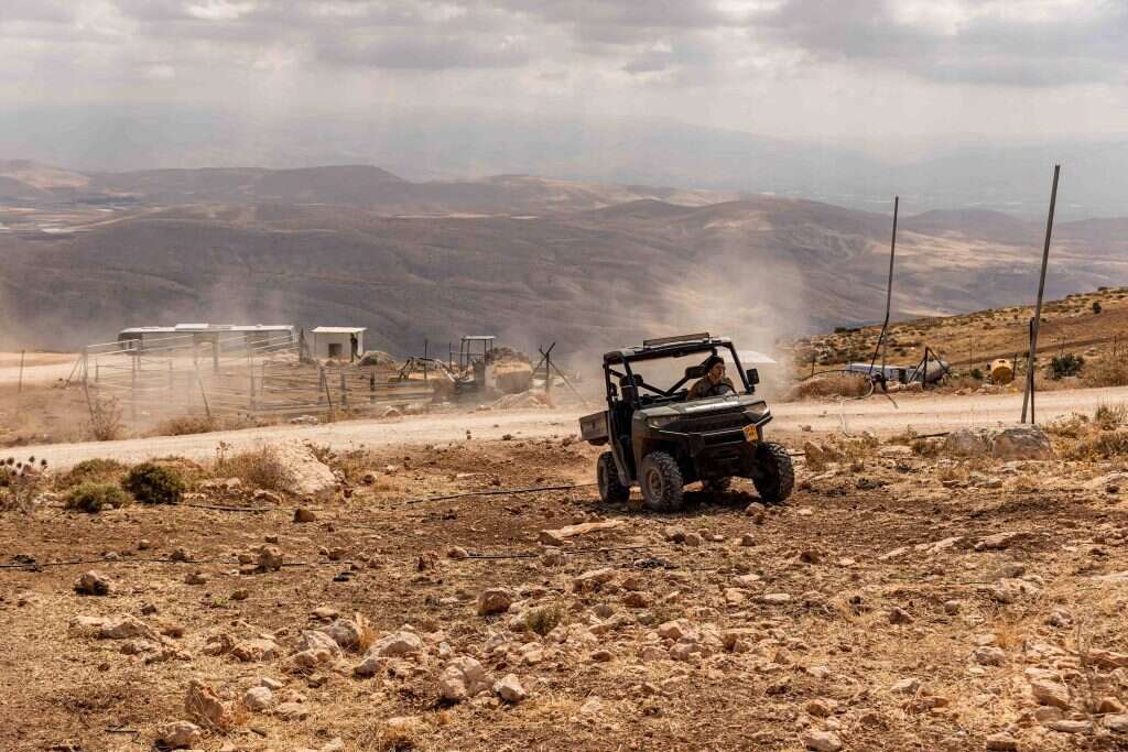 נעמה שטרן נעמה שטרן