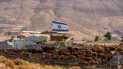 חוות מרום־שמואל. | נעמה שטרן