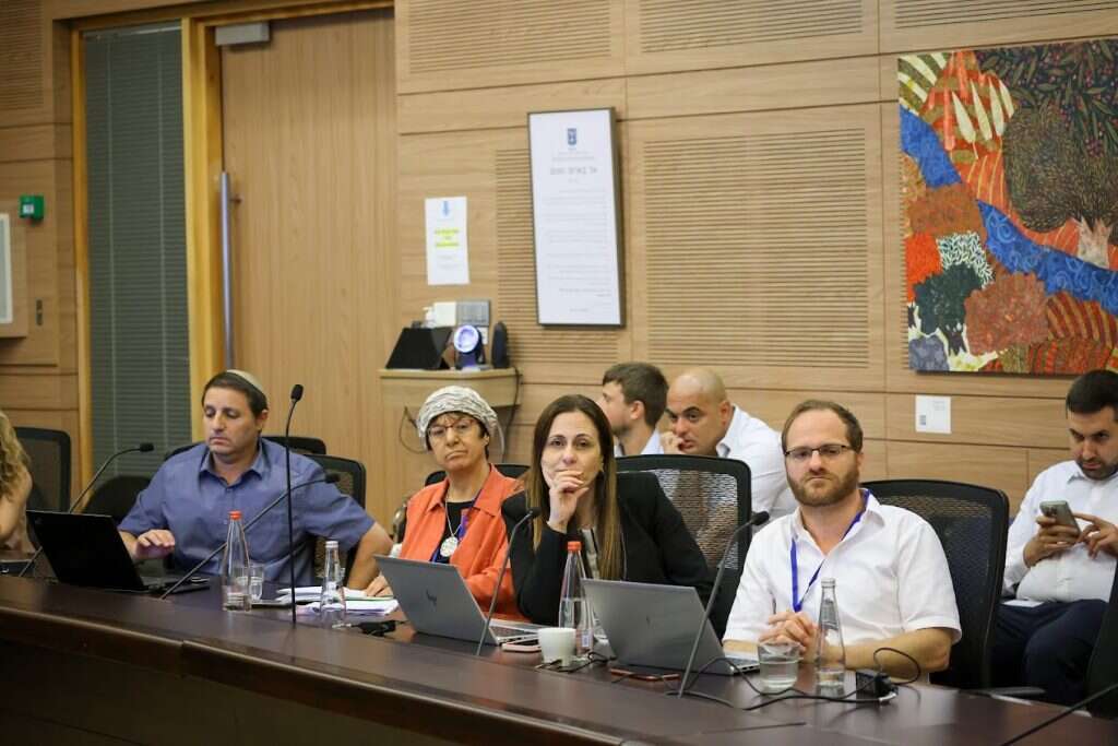 דיון בוועדת החינוך, התרבות והספורט, היום. | דוברות הכנסת, נועם מושקוביץ