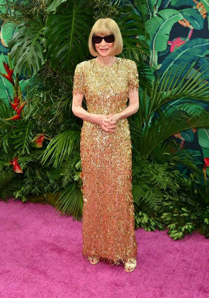 אנה וינטור. | AFP אנה וינטור. | AFP