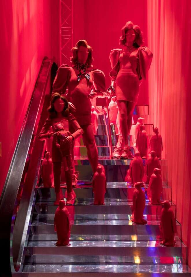 אלעד שריג אלעד שריג