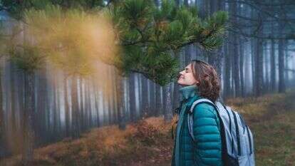 כמה שיותר מהאף וכמה שפחות מהפה. | שאטרסטוק