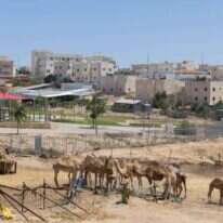 חורה. | לירון מולדובן