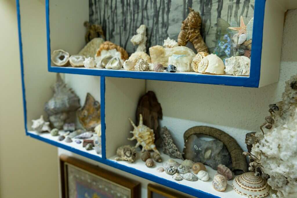 ברוך גרינברג