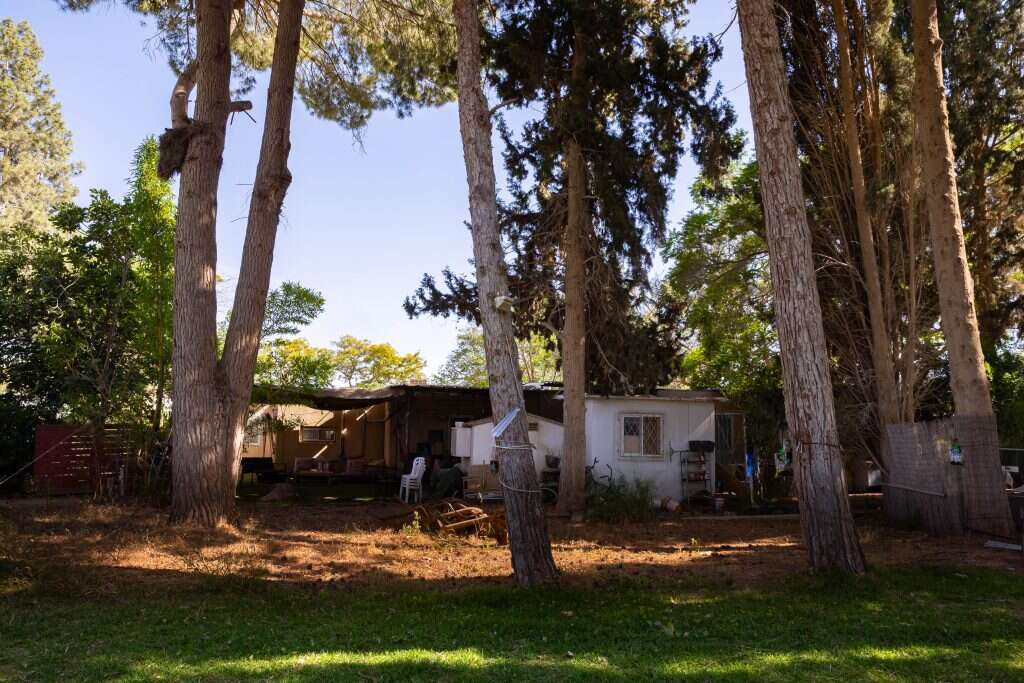 ברוך גרינברג