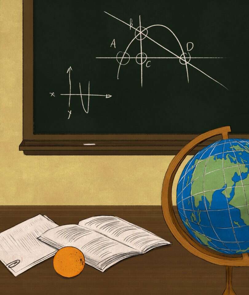 איור: שרון ארדיטי