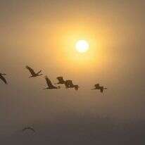 קיץ וחם. | מיכאל גילעדי פלאש 90 קיץ וחם. | מיכאל גילעדי פלאש 90