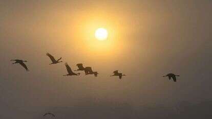 קיץ וחם. | מיכאל גילעדי פלאש 90