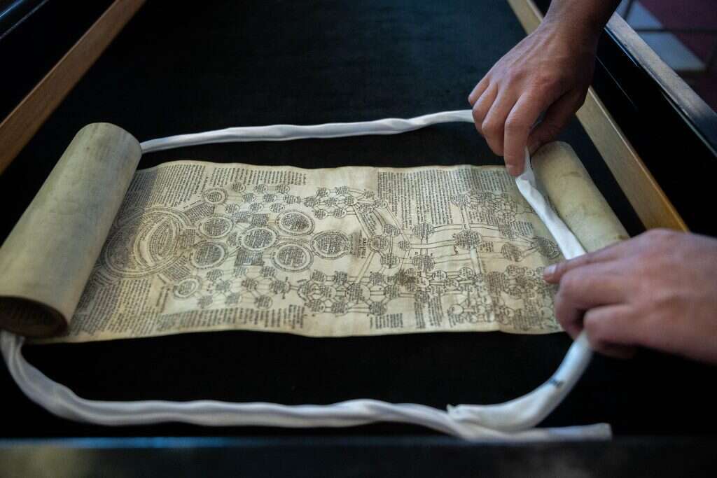 יונתן זינדל, פלאש 90