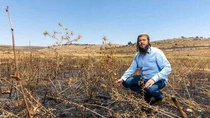 הפגנות הפלג הירושלמי נגד גיוס חרדים. | פלאש 90 הפגנות הפלג הירושלמי נגד גיוס חרדים. | פלאש 90