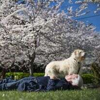 לינדה דודסון, וושינגטון פוסט