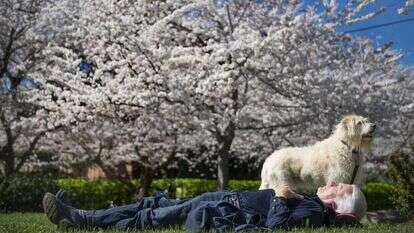 לינדה דודסון, וושינגטון פוסט