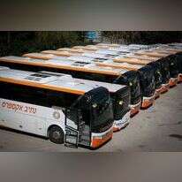 אוטובוסים. | דוד כהן פלאש 90