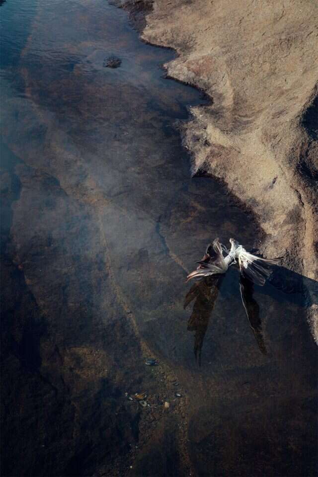 לתמוך בתהליכי הריפוי של הנשים המתמודדות הדר מיץ, מבט על, | הזרקת דיו, 2018. הוצגה בוילה גלריה לאמנות עכשווית, אמונה- הפקולטה לאמנויות ועיצוב. אוצרת: הדסה כהן