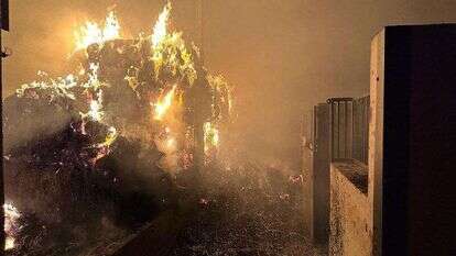 השרפה בחוות הסוסים בכפר שמאי. | באדיבות החווה