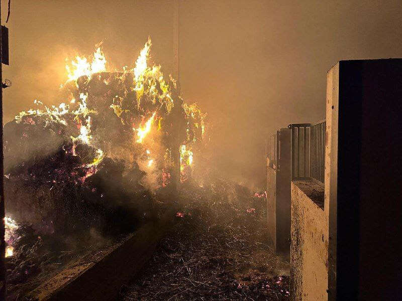 השרפה בחוות הסוסים בכפר שמאי. | באדיבות החווה