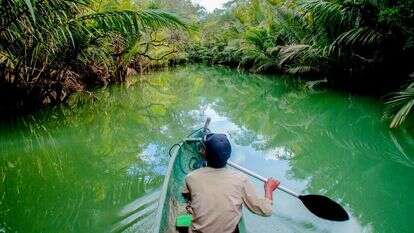 אוג'ונג קולון, אינדונזיה. | שאטרסטוק
