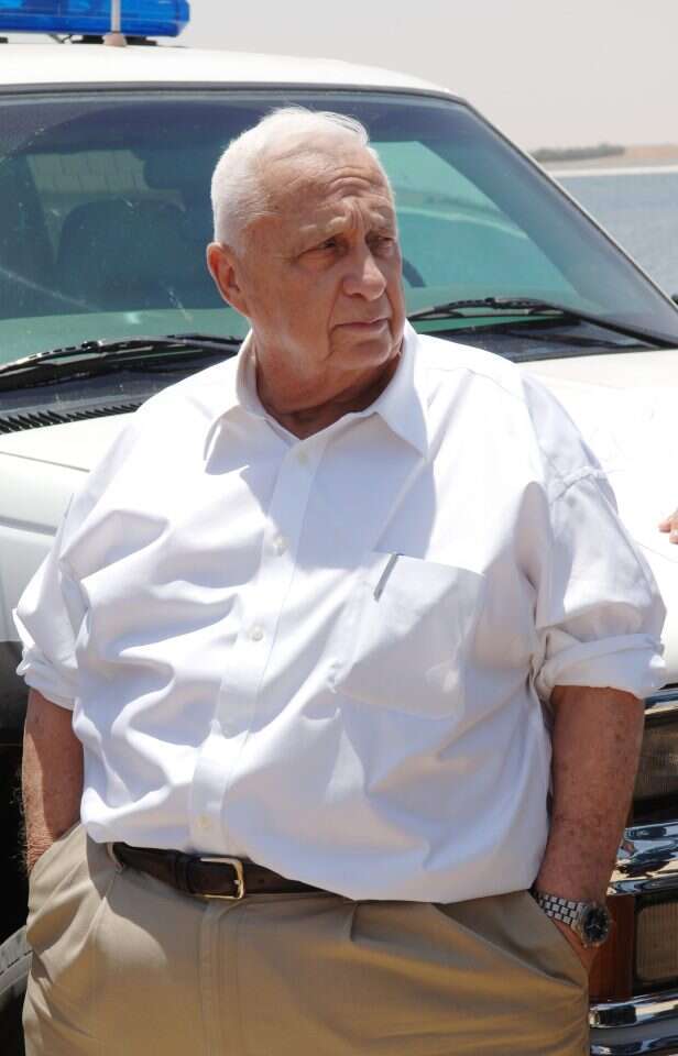 שרון. | אבי אוחיון, לע"מ שרון. | אבי אוחיון, לע"מ