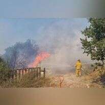 השריפה בהרי ירושלים. | TPS