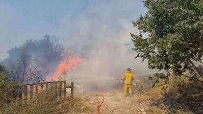 השריפה בהרי ירושלים. | TPS