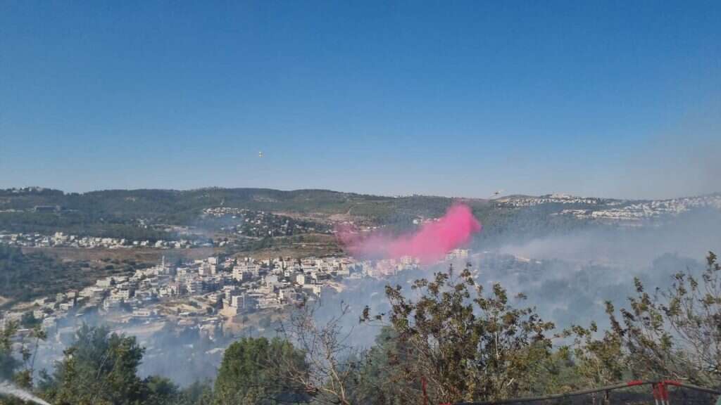 מטוס כיבוי בפעולה בניסיון להשתלט על השריפה בהרי ירושלים. | TPS