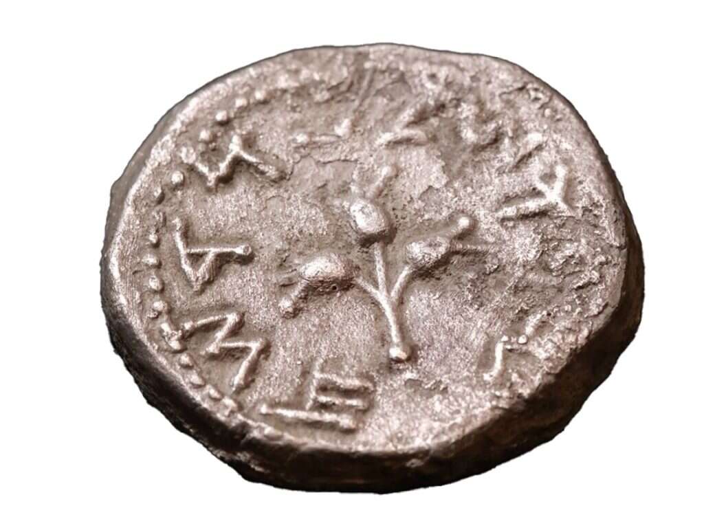 מטבע הכסף לאחר הניקוי. | אמיל אלג'ם, רשות העתיקות