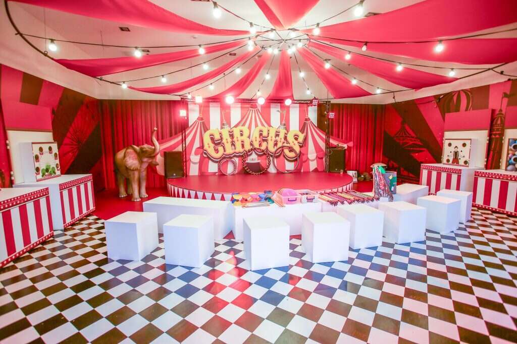 אטרקציית הקיץ במיקס שרונים קרדיט מתחם מיקס שרונים | ofer amram7