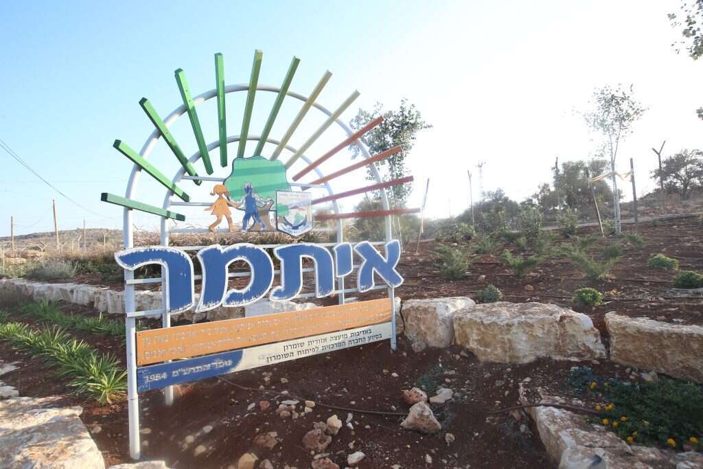 מרים צחי מרים צחי